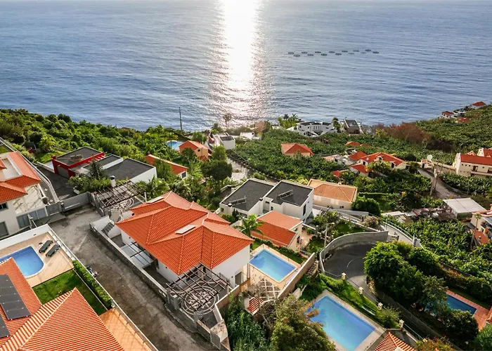 Ourmadeira - Amaro Sol